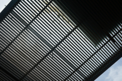 DSC09828-Large